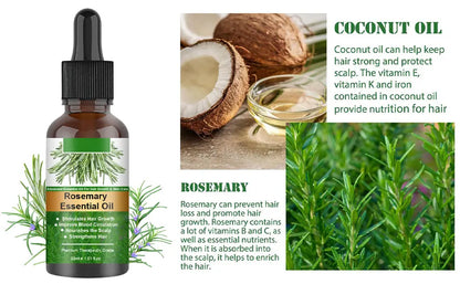 Rosemary Essential Oil for Hair Growth - Pure & Natural Hair Care Oil Beauty Hunt