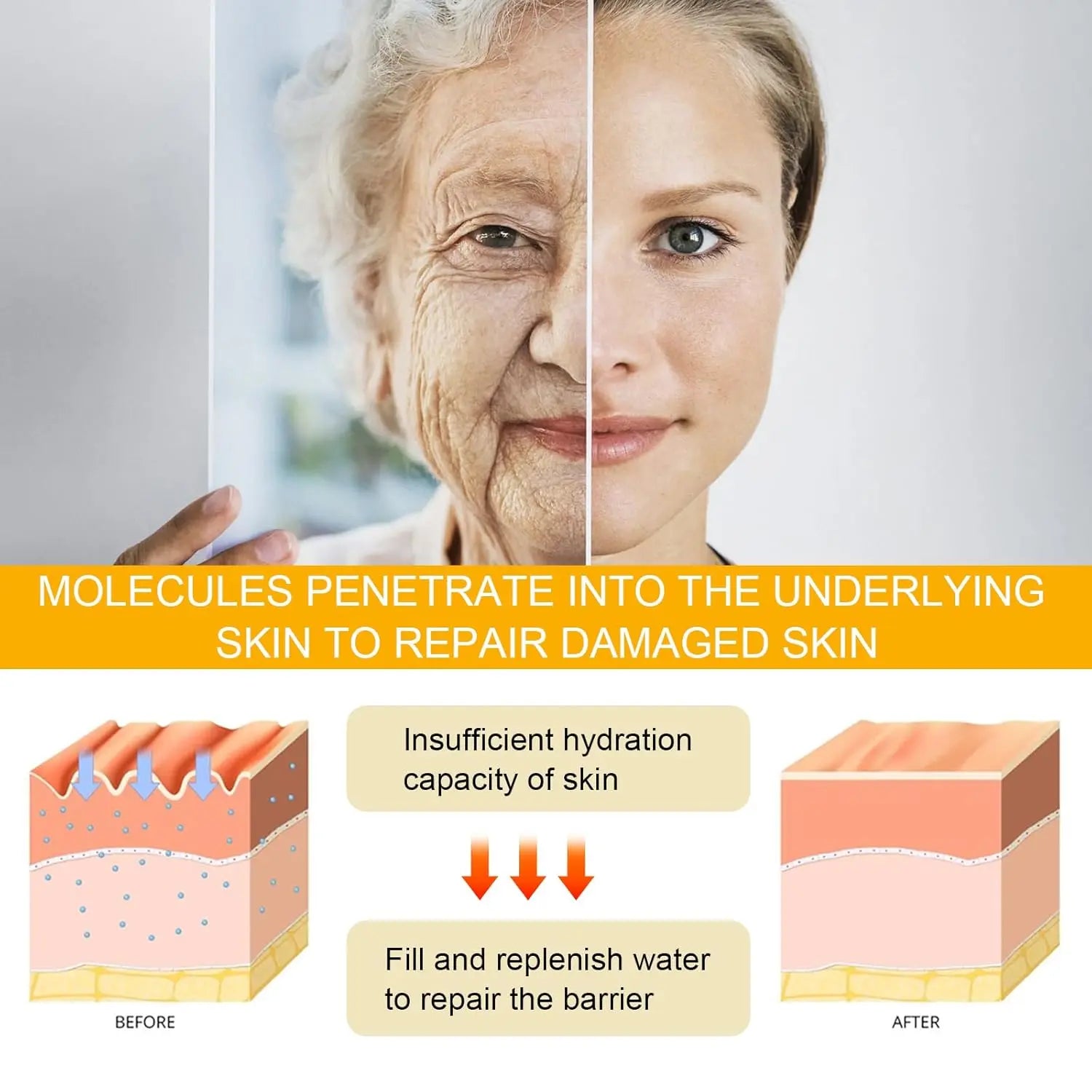 Eelhoe Ginseng & Niacinamide Essence – Anti-Wrinkle & Firming Face Serum Beauty Hunt