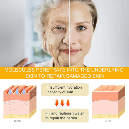 Eelhoe Ginseng & Niacinamide Essence – Anti-Wrinkle & Firming Face Serum Beauty Hunt